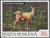 Colnect-4585-582-White-tailed-Deer-Odocoileus-virginianus.jpg