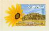 Colnect-6360-032-Namaqualand-Daisy-Dimorphoteca-sinuata.jpg