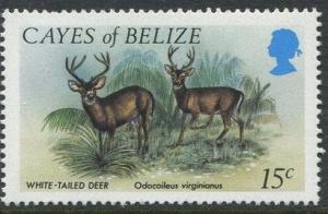 Colnect-1702-319-White-tailed-Deer-Odocoileus-virginianus.jpg