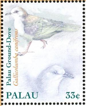 Colnect-2425-291-Palau-Ground-Dove-Gallicolumba-canifrons.jpg