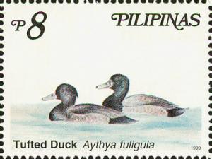 Colnect-2859-115-Tufted-Duck-Aythya-fuligula.jpg