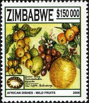 Colnect-555-266-African-dishes---Wild-Fruits.jpg