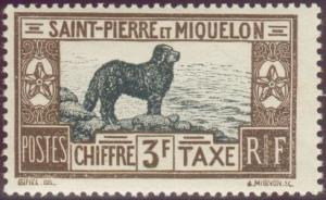 Colnect-879-460-Newfoundland-Dog-Canis-lupus-familiaris.jpg