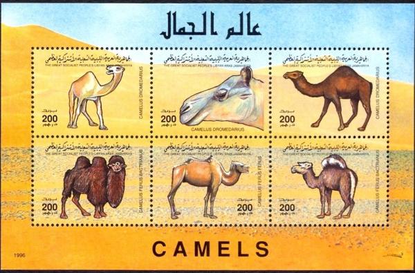 Colnect-2576-470-Camels-and-Dromedary---MiNo-2367-72.jpg