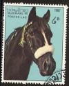 Colnect-1014-734-Horse-Equus-ferus-caballus.jpg