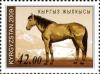 Colnect-1535-230-Horse-Equus-ferus-caballus.jpg