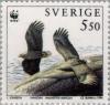 Colnect-164-827-White-tailed-Eagle-Haliaeetus-albicilla.jpg