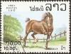 Colnect-1955-069-Horse-Equus-ferus-caballus.jpg