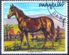 Colnect-2315-247-Horse-Equus-ferus-caballus.jpg