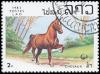 Colnect-3005-751-Horse-Equus-ferus-caballus.jpg