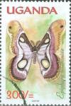 Colnect-3627-420-Moth-Epiphora-bauhiniae.jpg