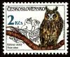 Colnect-3796-194-Long-eared-Owl-Asio-otus.jpg