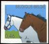 Colnect-5722-692-Horse-Equus-ferus-caballus.jpg