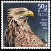 Colnect-5745-461-White-tailed-Eagle-Haliaeetus-albicilla.jpg