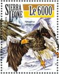 Colnect-3566-001-Steller-s-Sea-Eagle---Haliaeetus-pelagicus.jpg