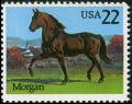 Colnect-4844-914-Morgan-Equus-ferus-caballus.jpg