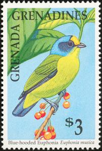 Colnect-2193-362-Antillean-Euphonia-Euphonia-musica.jpg