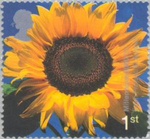Colnect-123-404-Sunflower--Eden--Project-St-Austell.jpg