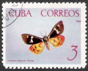 Colnect-1326-279-Moth-Eubaphe-disparilis.jpg
