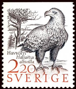 Colnect-1671-515-White-tailed-Eagle-Haliaeetus-albicilla.jpg