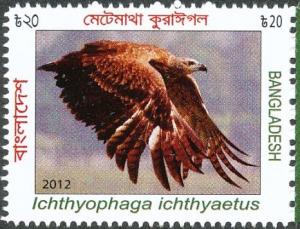 Colnect-1921-914-Grey-headed-Fish-Eagle-Ichthyophaga-ichthyaetus.jpg