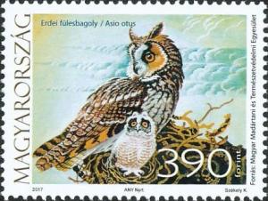 Colnect-4262-413-Long-eared-Owl-Asio-otus.jpg