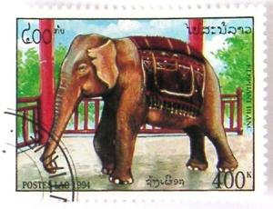 Colnect-532-929-White-Asian-Elephant-Elephas-maximus.jpg
