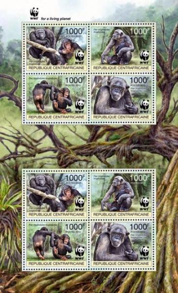 Colnect-4383-488-Central-chimpanzee-Pan-troglodytes-troglodytes.jpg