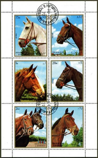 Colnect-2232-473-Horses-Equus-ferus-caballus.jpg