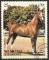 Colnect-1271-117-Horse-Equus-ferus-caballus.jpg
