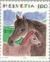 Colnect-141-122-Horses-Equus-ferus-caballus.jpg