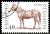 Colnect-1429-499-Horse-Equus-ferus-caballus.jpg