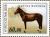Colnect-1535-228-Horse-Equus-ferus-caballus.jpg