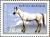 Colnect-1535-231-Horse-Equus-ferus-caballus.jpg