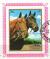 Colnect-5624-995-Horse-Equus-ferus-caballus.jpg