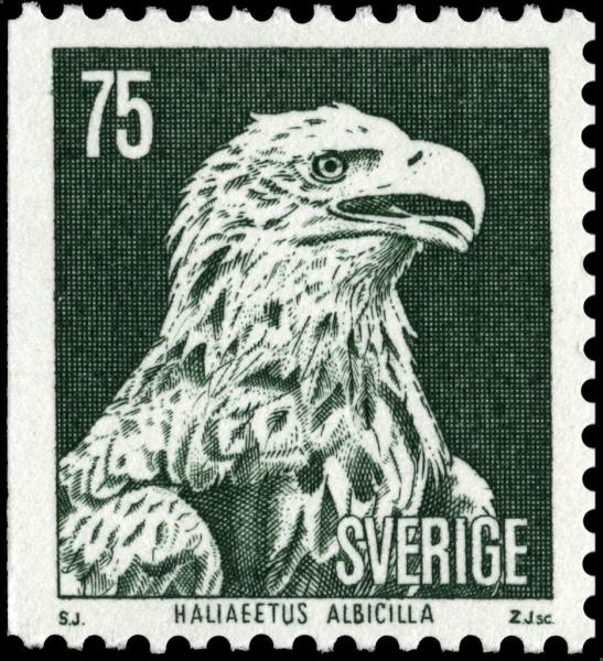 Colnect-4291-414-White-tailed-Eagle-Haliaeetus-albicilla.jpg