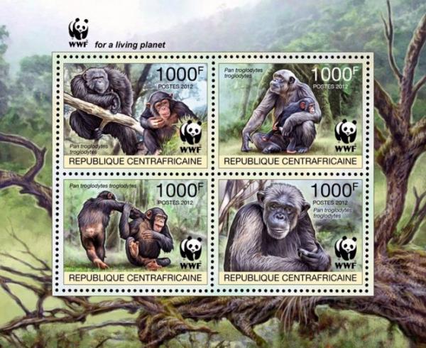 Colnect-4383-487-Central-chimpanzee-Pan-troglodytes-troglodytes.jpg