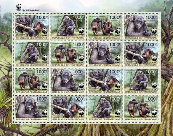 Colnect-4383-489-Central-chimpanzee-Pan-troglodytes-troglodytes.jpg