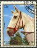Colnect-1128-662-Horse-Equus-ferus-caballus.jpg