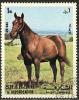 Colnect-1128-668-Horse-Equus-ferus-caballus.jpg