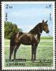 Colnect-1270-651--Horse-Equus-ferus-caballus.jpg