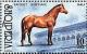 Colnect-1523-120-Horse-Equus-ferus-caballus.jpg