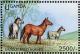Colnect-1714-659-Horses-Equus-ferus-caballus.jpg