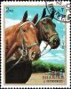 Colnect-5288-780-Horse-Equus-ferus-caballus.jpg