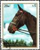 Colnect-5288-800-Horse-Equus-ferus-caballus.jpg
