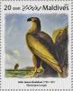 Colnect-6240-082--Washington-s-Eagle--by-John-James-Audubon.jpg