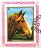 Colnect-5624-994-Horse-Equus-ferus-caballus.jpg