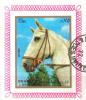 Colnect-5624-992-Horse-Equus-ferus-caballus.jpg