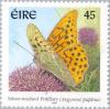 Colnect-129-748-Silver-washed-Fritillary-Argynnis-paphia.jpg