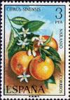 Colnect-438-180-Flora-Oranges.jpg